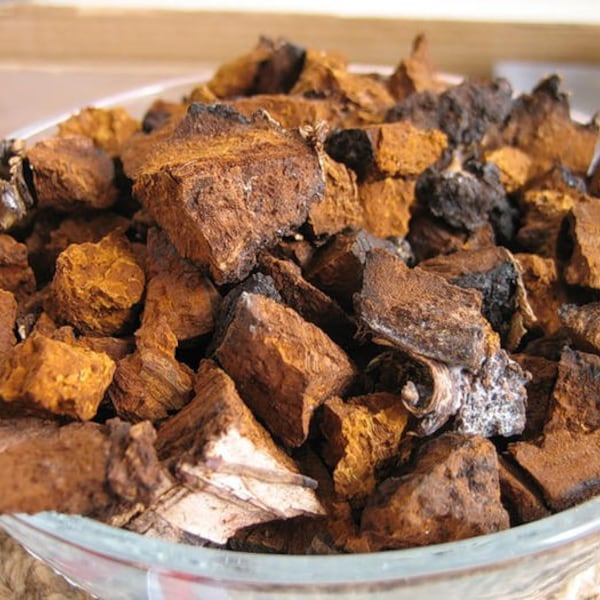 Wild CHAGA Mushroom Dried Chunks for Tea 1 Lb 454g, Fresh Organic  from Canada