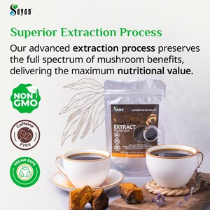 Chaga Extract Powder, Wild Chaga Mushroom Powder for Tea, Siberian Chaga for Energy, Wellness Gift, Natural Detox Supplement, Chaga Tea
