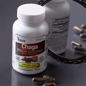 Cápsulas de cogumelo chaga selvagem, extrato de chaga liofilizado, suplemento vegetariano de cogumelo