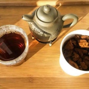 Chaga Mushroom Powder, Wild-Harvested in Canada 1lb (454g), Nutrient-Rich Superfood for Tea, Antioxidant Supplement, Ground Chaga