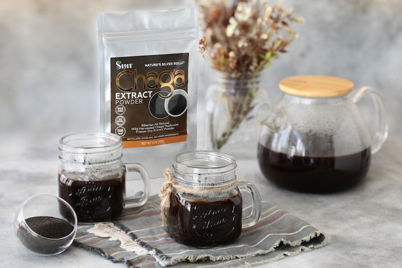 Chaga Extract Powder, Wild Chaga Mushroom Powder for Tea, Siberian Chaga for Energy, Wellness Gift, Natural Detox Supplement, Chaga Tea