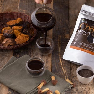 Chaga Extract Powder, Wild Chaga Mushroom Powder for Tea, Siberian Chaga for Energy, Wellness Gift, Natural Detox Supplement, Chaga Tea