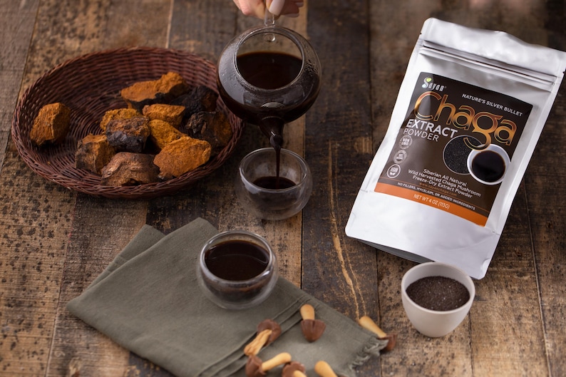Chaga Extract Powder, Wild Chaga Mushroom Powder for Tea, Siberian Chaga for Energy, Wellness Gift, Natural Detox Supplement, Chaga Tea