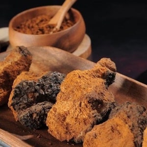 Chaga Mushroom Powder, Wild-Harvested in Canada 1lb (454g), Nutrient-Rich Superfood for Tea, Antioxidant Supplement, Ground Chaga