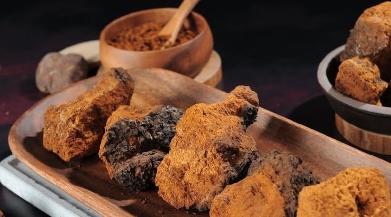 Chaga Mushroom Powder, Wild-Harvested in Canada 1lb (454g), Nutrient-Rich Superfood for Tea, Antioxidant Supplement, Ground Chaga