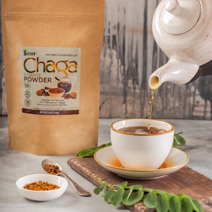 Wild Chaga Mushroom Powder,  Mushroom Tea, Siberian Harvested Dried Chaga, 4 0z - 2.2 Lbs