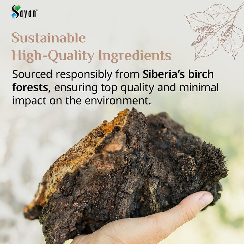 Chaga Extract Powder, Wild Chaga Mushroom Powder for Tea, Siberian Chaga for Energy, Wellness Gift, Natural Detox Supplement, Chaga Tea