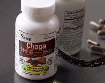 Wilde Chaga Pilzkapseln, Gefriertrockenextrakt, veganes Nahrungsergänzungsmittel