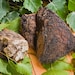 Chaga Sayan