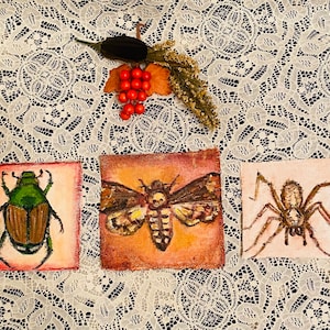 Insects in My Attic Entomology Hand painted Assorted Moth, Spider, And Beetle Patches Mini Paintings