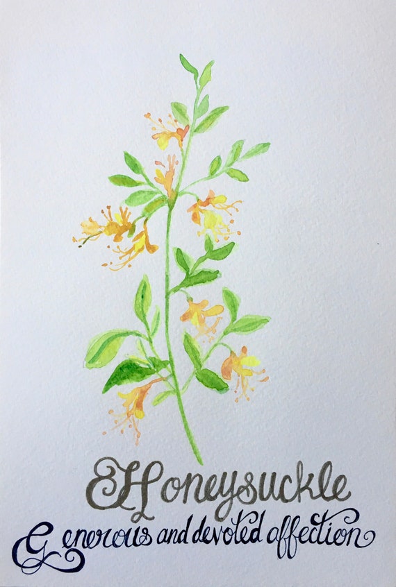 Floriography Floral Watercolor