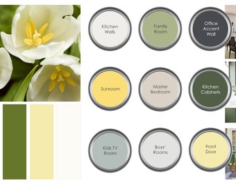 Medium (9 Room) Paint Color Consultation - Home Paint Color Palette - Home Paint Selections for up to 9 Rooms