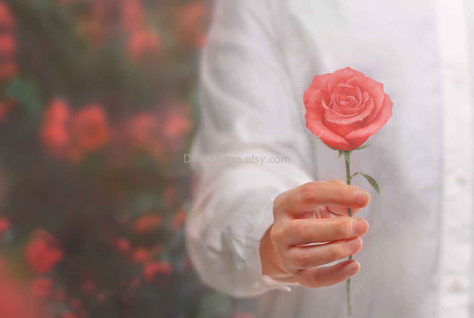 Sticky Note rose / Pink Rose / Red Rose / Notepads / Memo Etsy