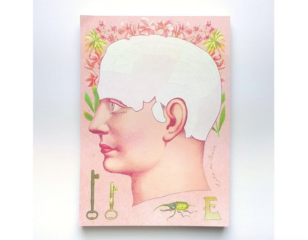 A5 Brain Notepads / Unique Notepad / Colorful Memo Pad / - Etsy