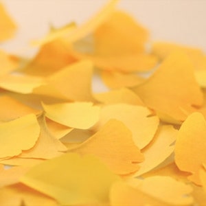 Sticky Notes [ LEAVES of 10 TYPES ] / Leaf Notepads / Personalized Notepad / Memo pad / Sticky note / Stationery / Scrapbooking