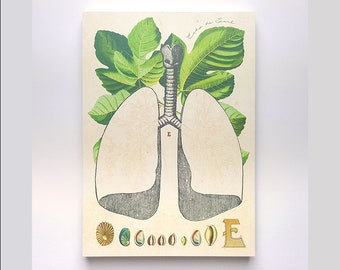 A5 Lungs Notepads / Unique Notepad / Colorful Memo Pad / Stationery / Scrapbooking / Organize / Christmas Gift / School, Office Supplies