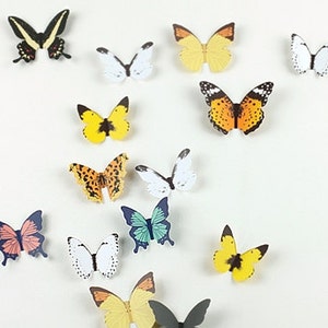 Butterfly Wall Deco Sticker / Kids Room Decoration / Wall Decal Stickers