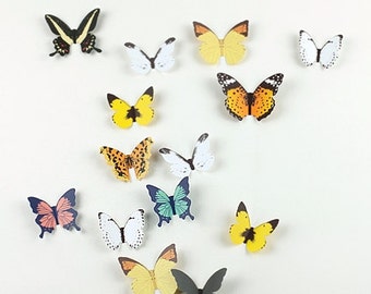 Butterfly Wall Deco Sticker / Kids Room Decoration / Wall Decal Stickers