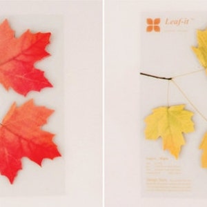 Sticky Notes [Maple Leaf] / Maple Notepads / Personalized Notepad / Memo pad / Sticky note / Stationery /Scrapbooking