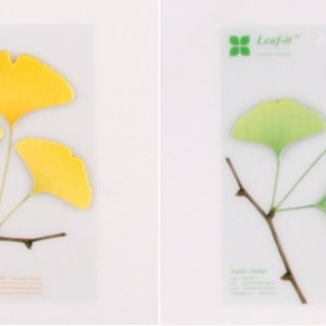 Sticky Notes [ Ginkgo Leaf ] / Ginkgo Notepads / Personalized Notepad / Memo pad / Sticky note / Stationery / Scrapbooking