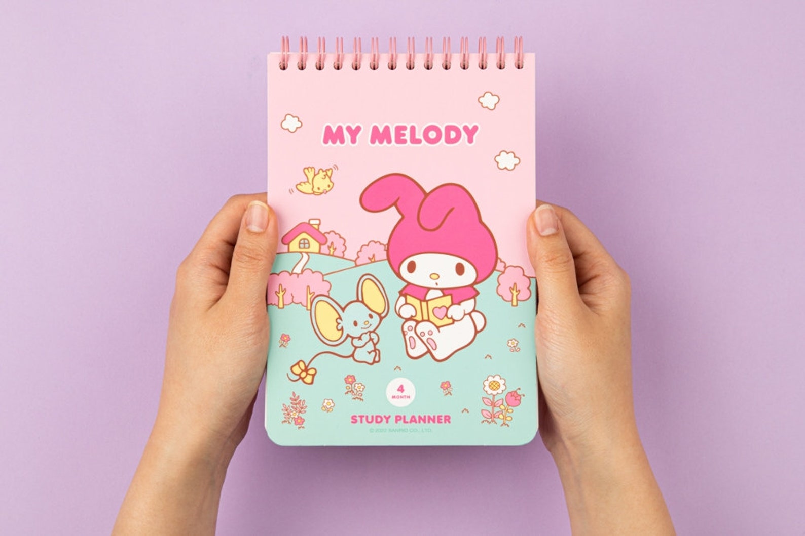 SANRIO Study Planner Sticker Set / Undated Daily Planner / - Etsy