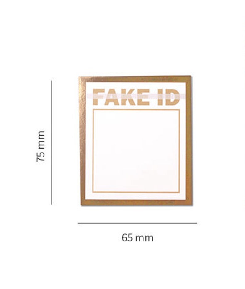FAKE ID Notepad Unique Memo pad Funny Notepads Personalized Notepad Sticky Notes Stationery Scrapbooking Bullet Journal