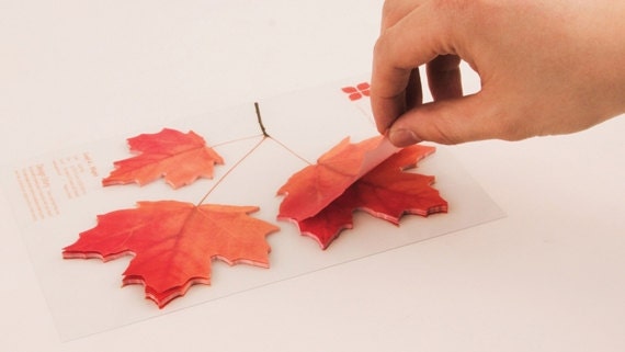 Leaf post 2024 it notes