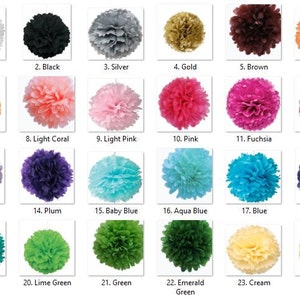 Pode incluir: Um gráfico mostrando 24 cores diferentes de pompons de papel de seda. Cada pompón é exibido em um quadrado branco com um número e o nome da cor abaixo.