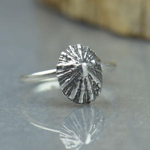 Limpetring i sterlingsilver. Handgjord ammonit av fossilälskare. Snäckskalring. Sjöälskare.