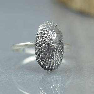 Puede incluir: Un anillo de plata con una pieza central en forma de concha ovalada y texturizada. La superficie metálica de la concha tiene un aspecto detallado, poroso y estriado con un brillo metálico. El aro del anillo es liso, fino y de plata pulida.