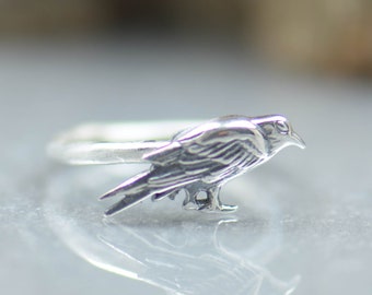 May include: A silver ring with a detailed crow design. The crow is perched on a thin band.