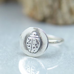 Può includere: Un anello d'argento con un design a forma di coccinella. La coccinella è dettagliata con punti e ha una finitura testurizzata.