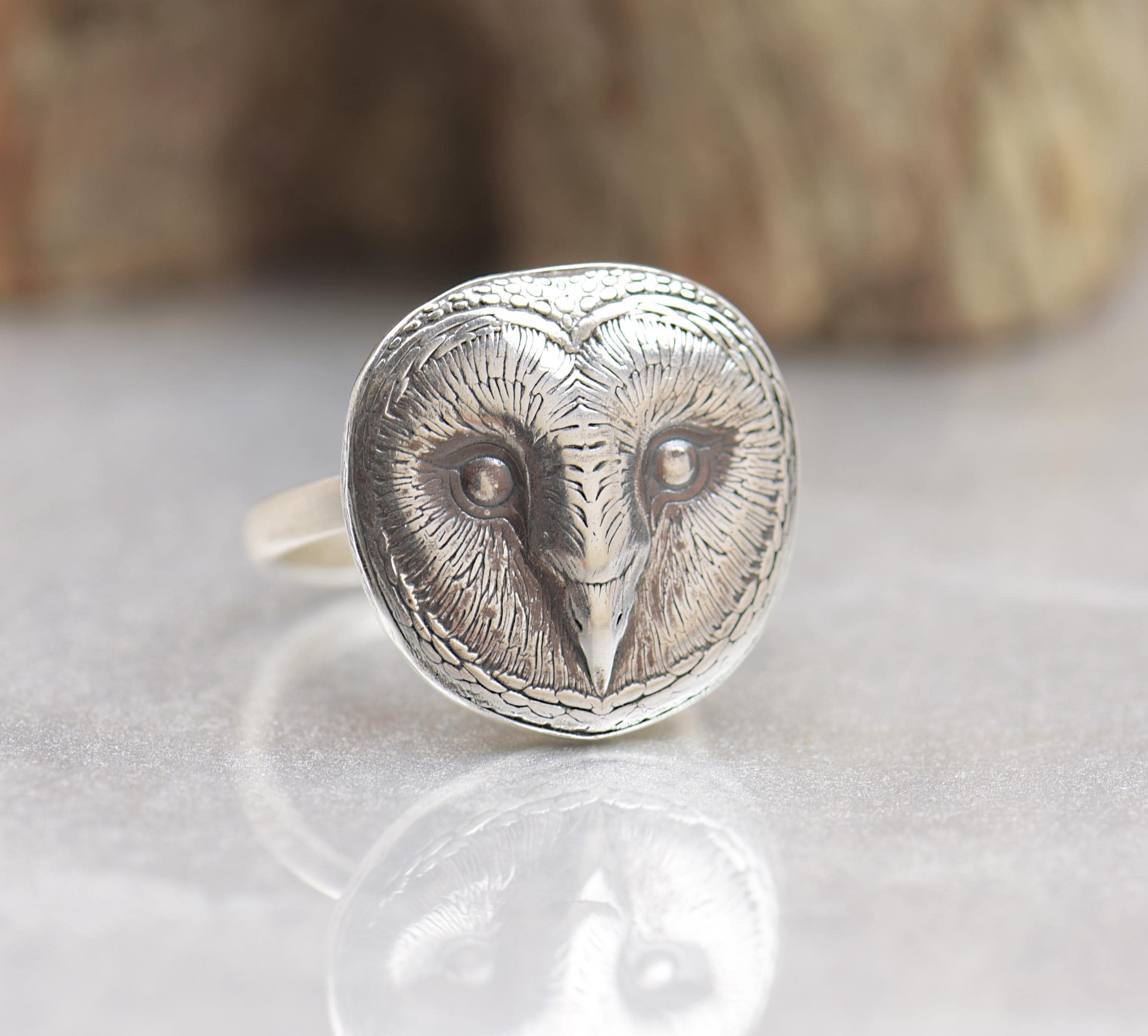 Sterling silver Owl ring.Insect Ring. Cicada ring Mystery magic jewelry.Artisan handmade ring.Hallow
