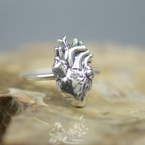 May include: A silver anatomical heart ring. The ring features a detailed, three-dimensional design of a human heart.