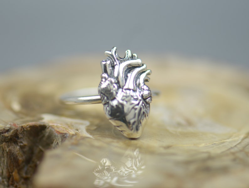 May include: A silver anatomical heart ring. The ring features a detailed, three-dimensional design of a human heart.