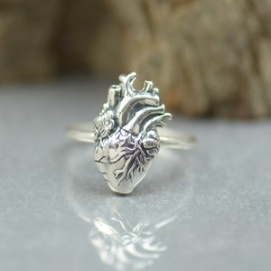 May include: A silver anatomical heart ring. The ring is made of sterling silver and features a detailed anatomical heart design.