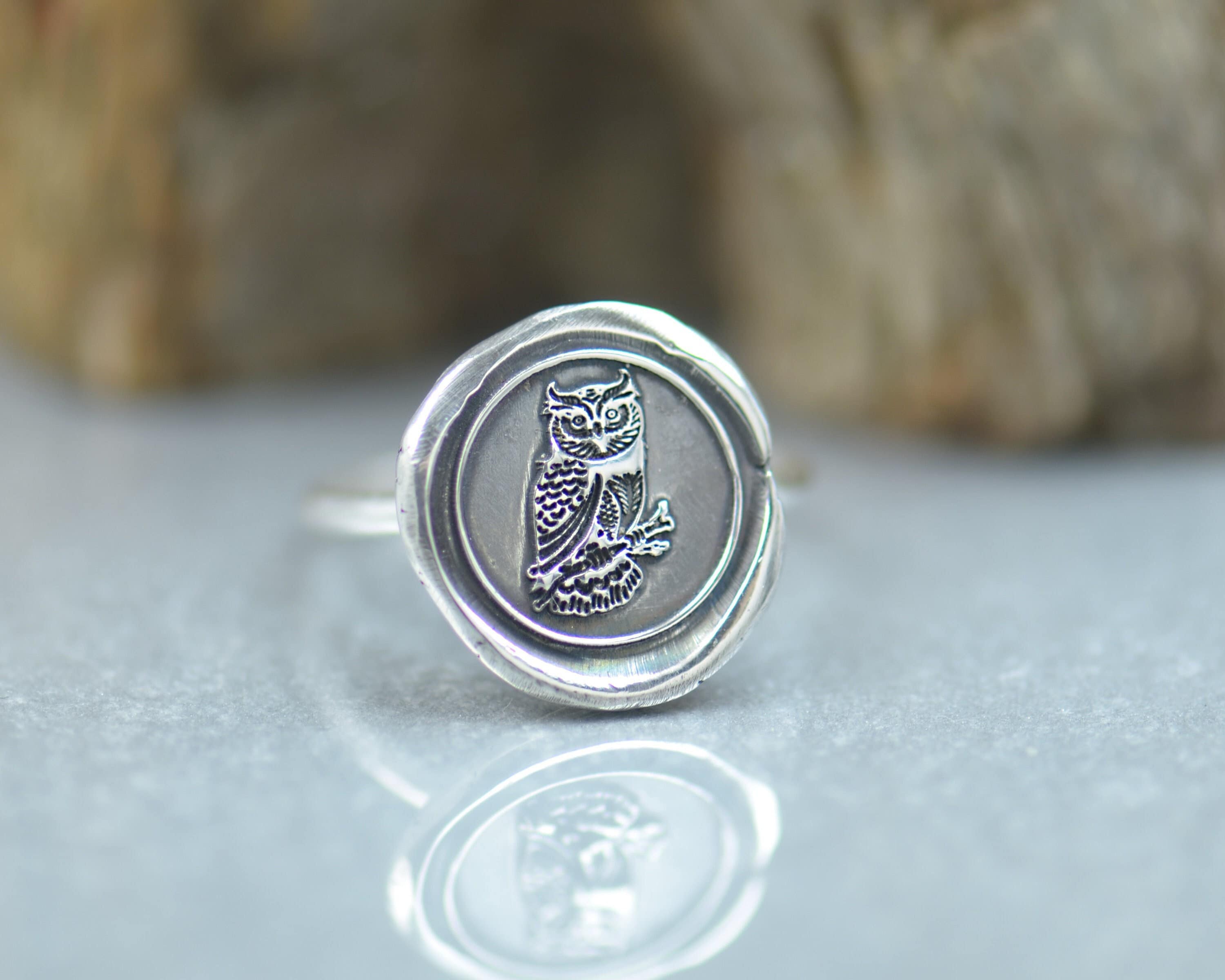 Sterling silver Owl ring.Insect Ring. Cicada ring Mystery magic jewelry.Artisan handmade ring.Hallow