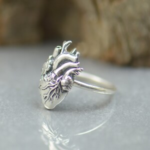 May include: A silver ring with a detailed anatomical heart design. The heart is raised and has a textured surface.