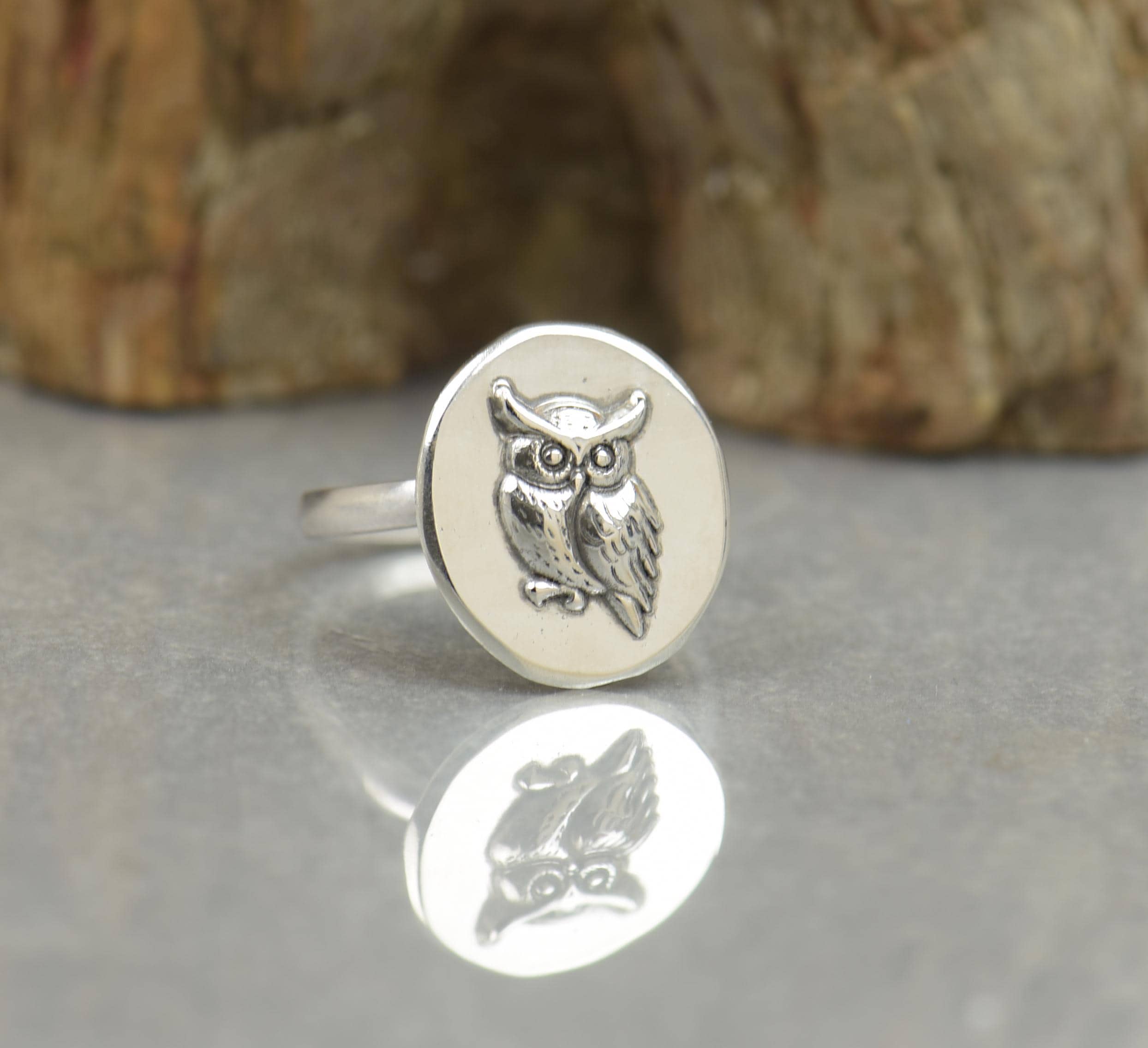 Sterling silver Owl ring.Insect Ring. Cicada ring Mystery magic jewelry.Artisan handmade ring.Hallow