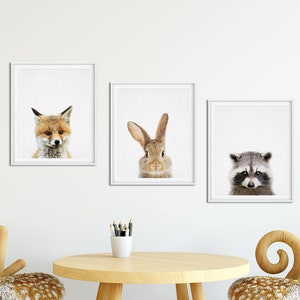 Woodland Nursery Decor, Baby Animals Set 3, Bunny, Fox, Raccoon, Nursery Animal Wall Art, Baby Animals Poster, Kids Room Decor Printable Art
