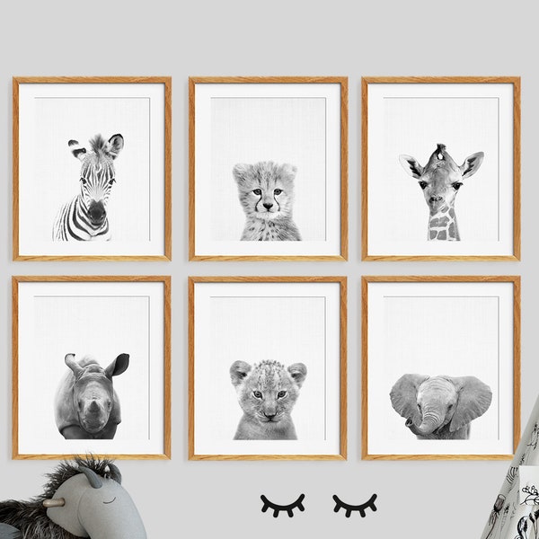 Safari Nursery Decor, Baby Animals Set 6, Lion Zebra Elephant Giraffe, Nursery Black White Prints, Safari Animals, Kids Room Printable Art