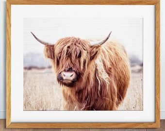 Highland Cow Print, Highland Cow Poster, Cow Wall Art, Highland Bull Photo, Farm Animals Prints, Modern Wall Art, Kids Room Printable Art