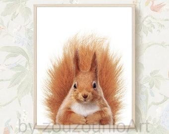 Red Squirrel Print, Woodlands Animal Wall Art, Forest Animals Art Photo, Nursery Wall Decor, Woodlands Animal Print, Kids Room Printable Art