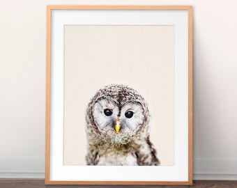 Owl Print, Nursery Wall Art, Baby Owl Poster, Woodland Animals Print, Nursery Decor, Baby Animals Prints, Kids Room Decor Digital Printable