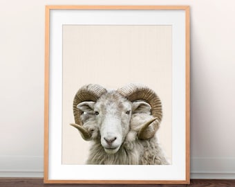 Sheep Print, Nursery Animal Wall Art, Sheep Ram Big Horn, Mountain Sheep, Farm Animal, Nursery Home Decor, Sheep Poster, Kids Room Printable