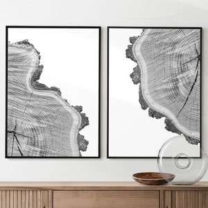 Juego de 2 láminas de anillos de árbol, pósteres de árboles en blanco y negro, arte mural de pino, minimalista, moderno, decoración para el hogar y la oficina, láminas imprimibles de anillos de madera