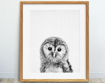 Owl Print, Woodland Nursery Wall Art, Baby Owl Print, Black And White Grey Print, Owl Photo, Bird Poster, Kids Room Decor, Printable Art