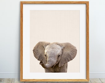 Elephant Print, Baby Elephant Photo, Nursery Animal Wall Art, Safari Animal Decor, Baby Nursery Animal Print, Kids Room Decor, Printable Art