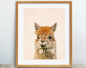 Alpaca Print, Nursery Animal Wall Art, Alpaca Poster, Lama Print, Modern, Nursery Decor, Color Animal Prints, Kids Room Decor, Printable Art