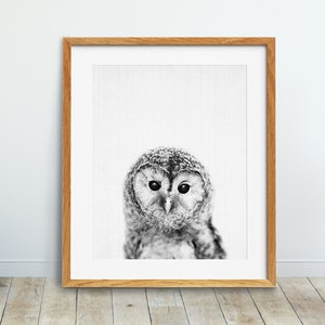 Owl Print, Woodland Nursery Wall Art, Baby Owl Print, Black And White Grey Print, Owl Photo, Bird Poster, Kids Room Decor, Printable Art